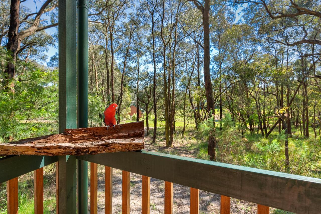Cockatoo Cottages Exteriér fotografie